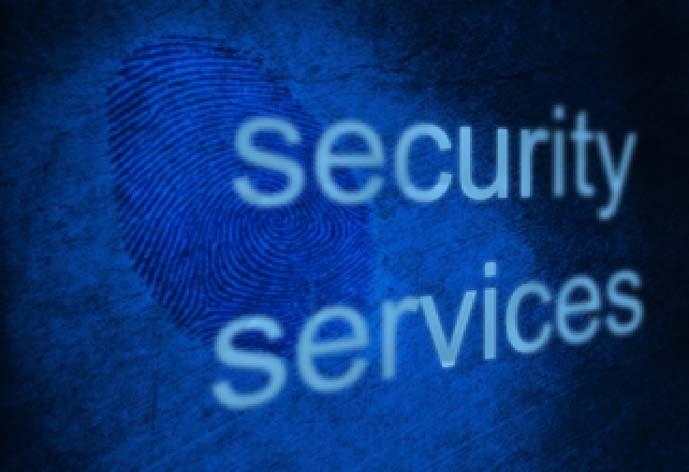 Blueit Security Services
